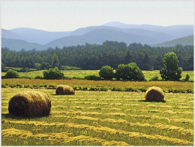 Autumn Haze (2009): John MacDonald finds quiet beauty everywhere, such as these hay bales in a neighbor's field.